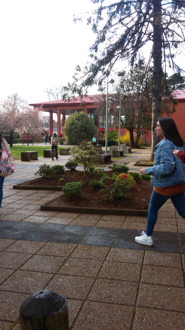 _Sel G Maldonado_19