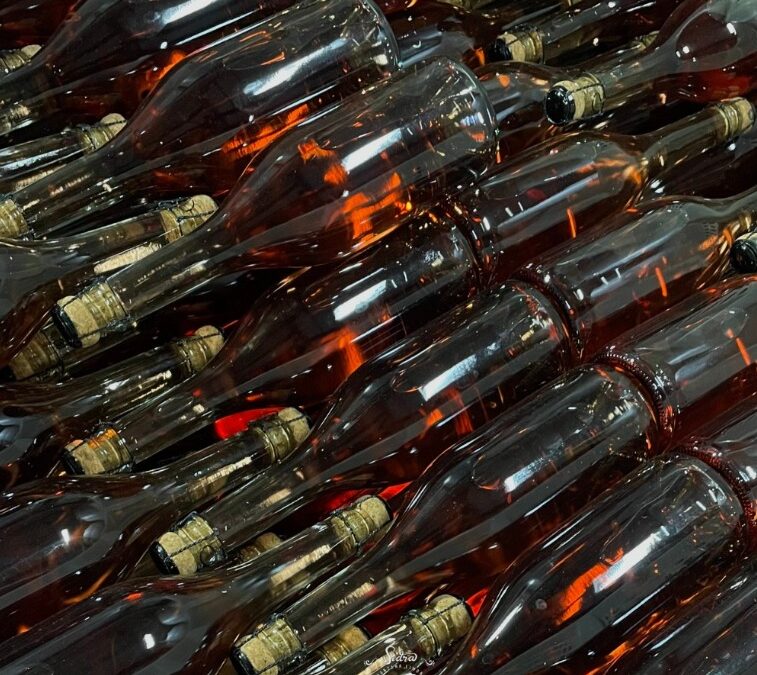 De la quinta al botellín: el rescate de la sidra como herencia viva del sur 