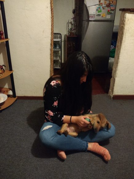 Tengo dos mascotas en la casa y siempre en algún momento del día comparto con los dos, sobre todo el perro que no conoce el espacio personal.