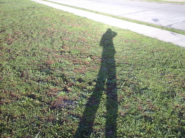 Mi sombra en el parque. Parezco de dos metros. 